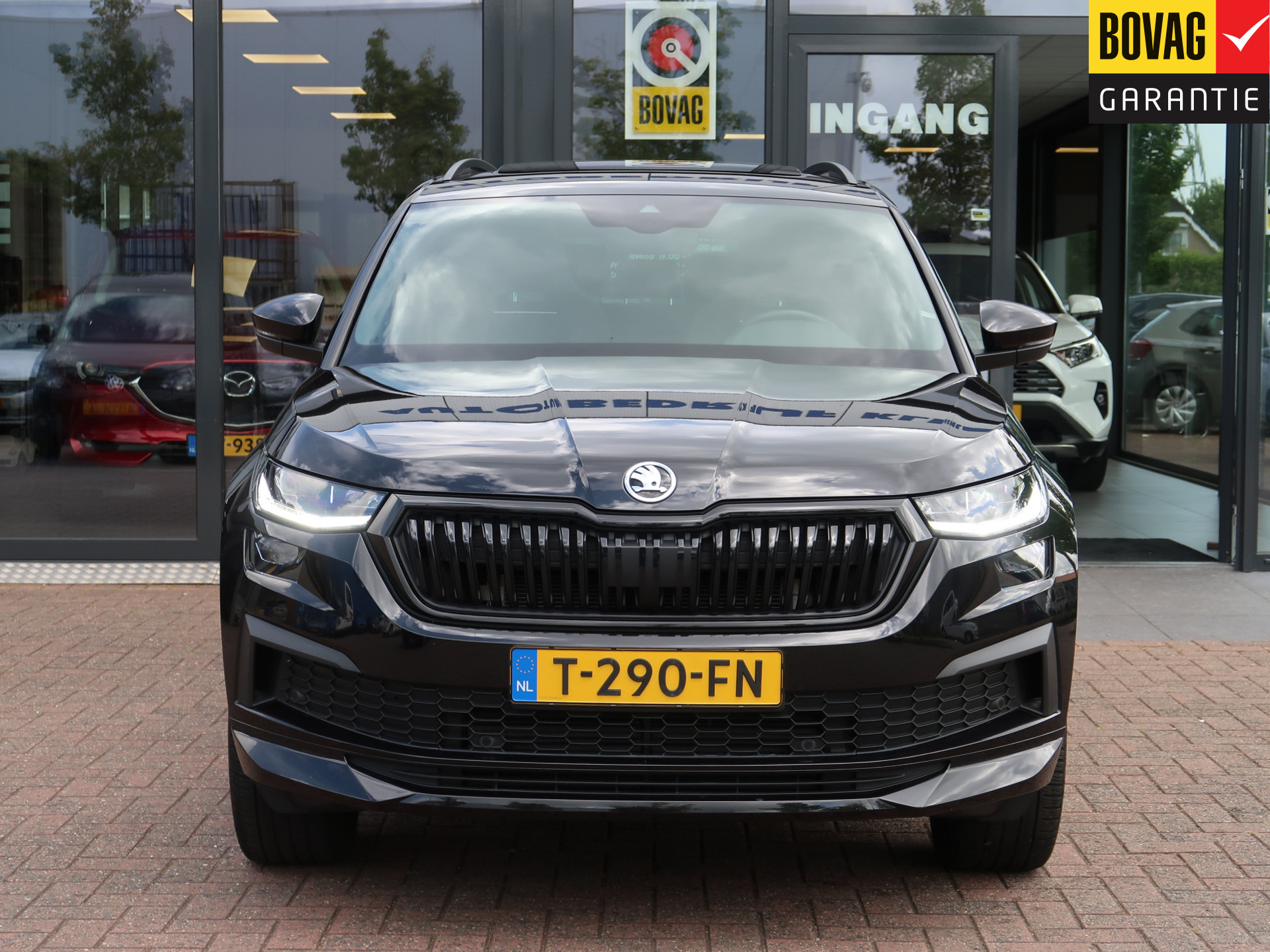 45335149-7.jpg