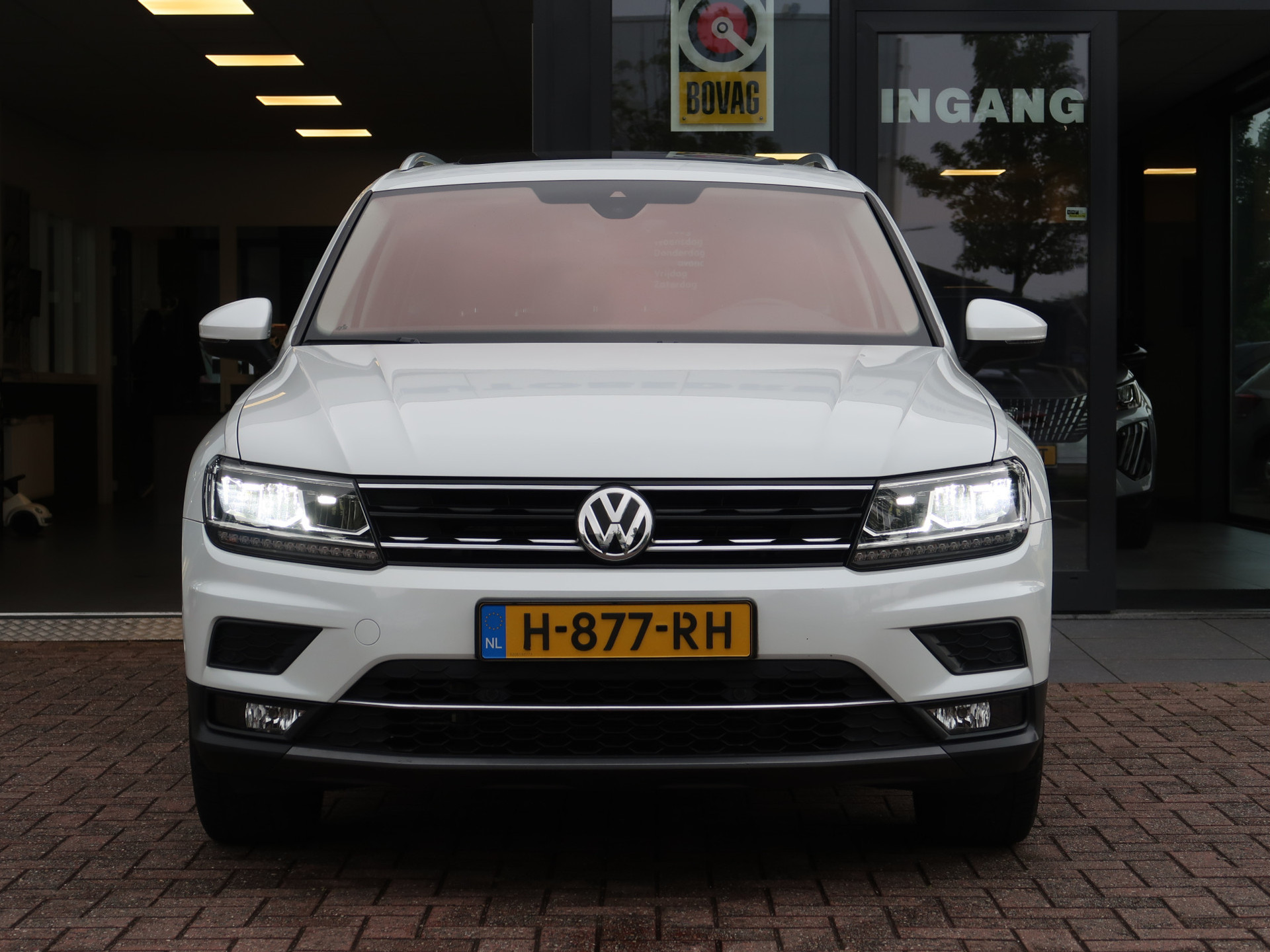 45953706-6.jpg