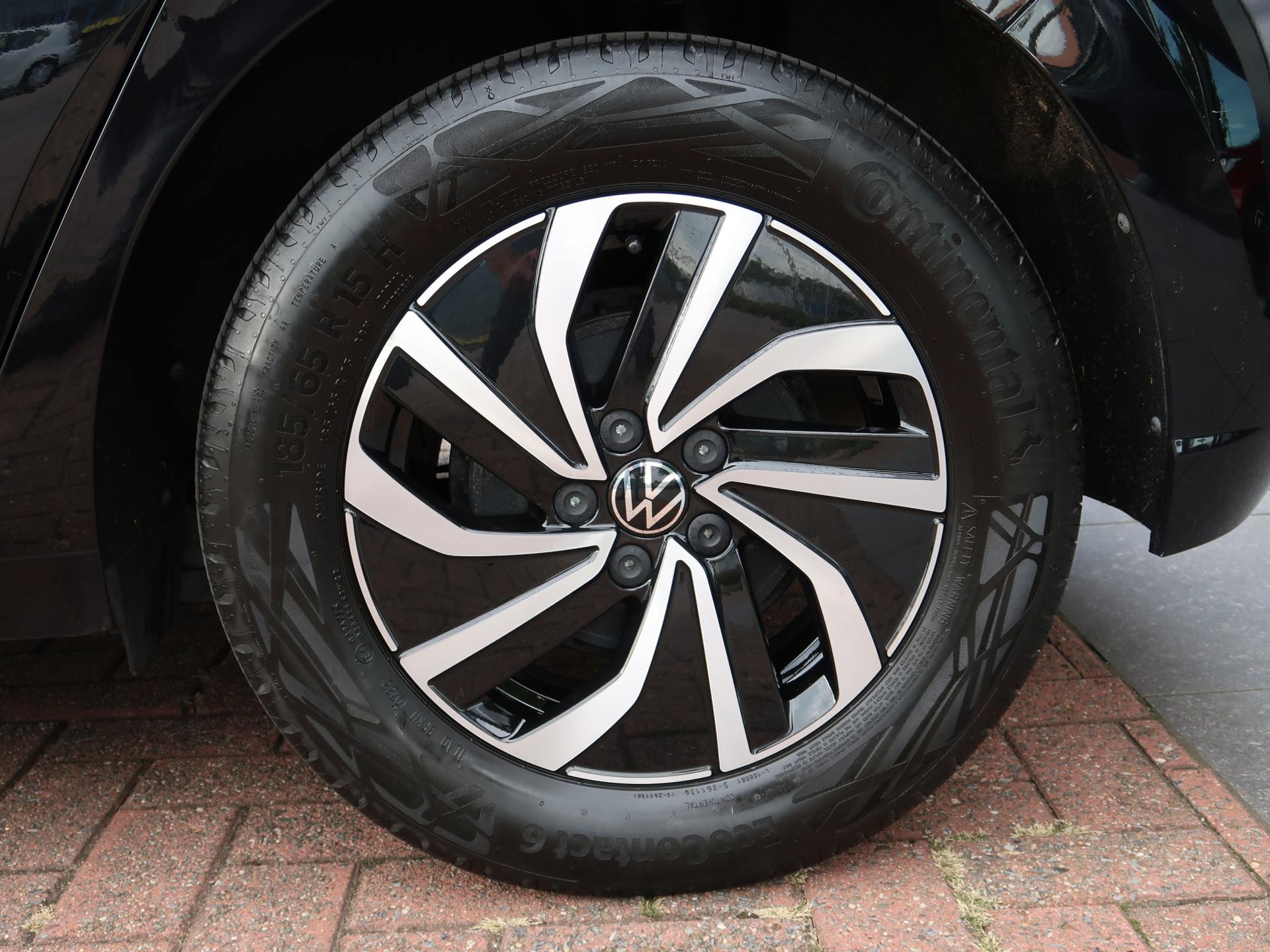 47919852-4.jpg